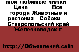 мои любимые чижки › Цена ­ 15 000 - Все города Животные и растения » Собаки   . Ставропольский край,Железноводск г.